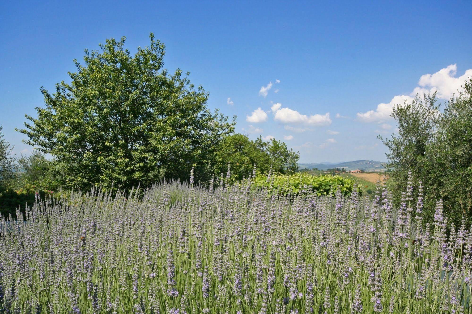 Podere Il Pino Поджибонси Экстерьер фото